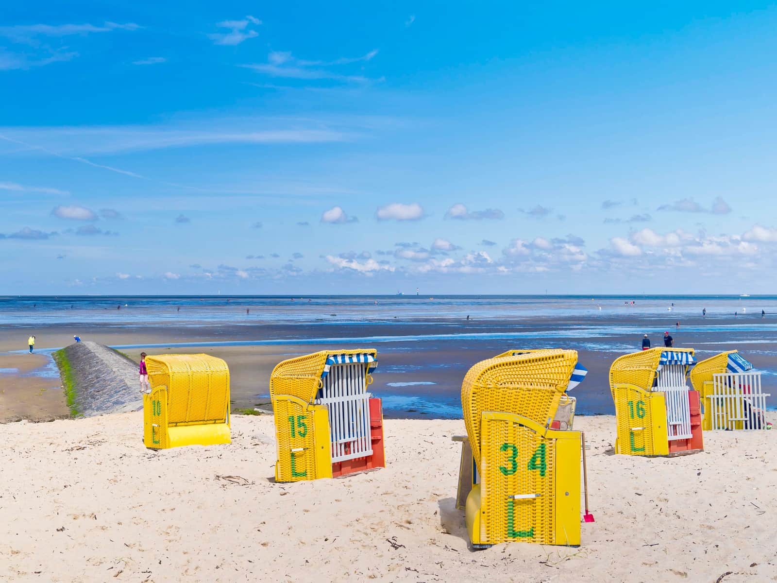 Yellow beach chairs on a sunny shore