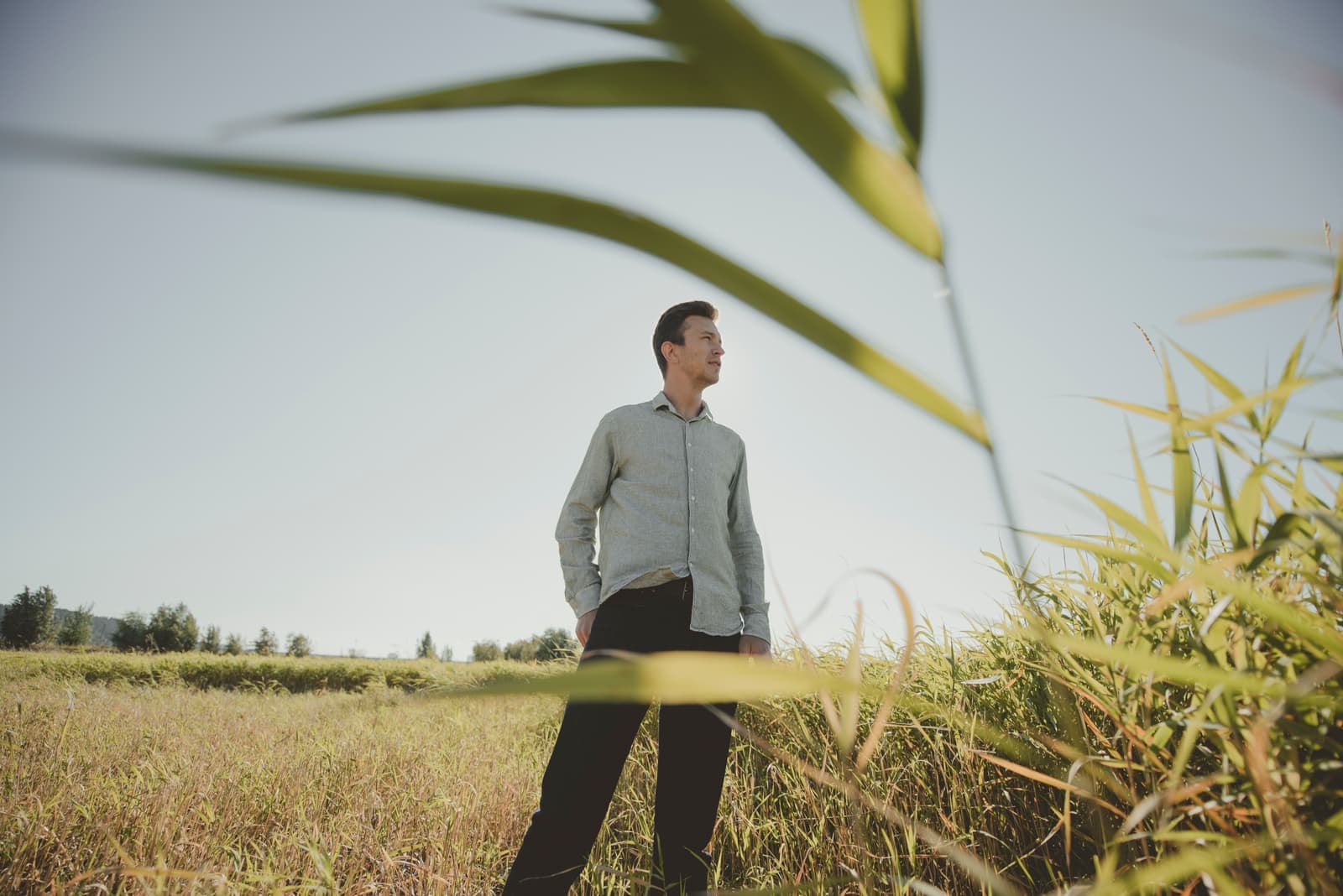 A man standing in a sunlit field of tall grass